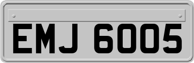 EMJ6005