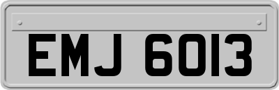 EMJ6013