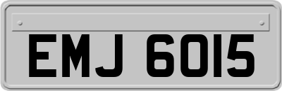 EMJ6015