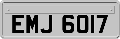 EMJ6017