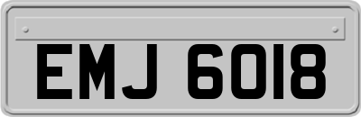 EMJ6018