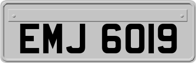 EMJ6019
