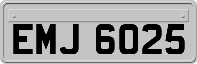 EMJ6025