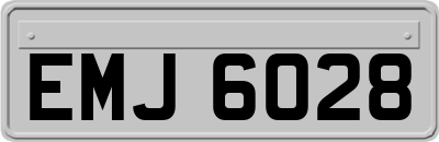 EMJ6028