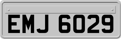 EMJ6029
