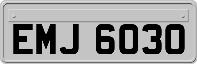 EMJ6030