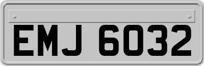EMJ6032