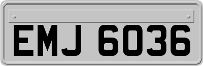 EMJ6036