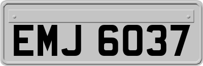 EMJ6037