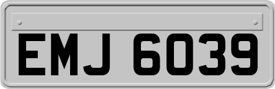 EMJ6039