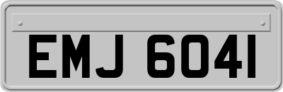 EMJ6041