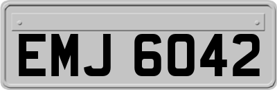 EMJ6042