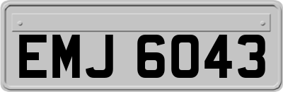 EMJ6043