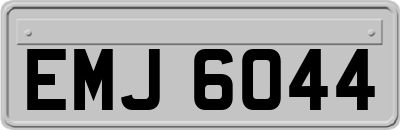 EMJ6044
