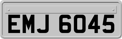 EMJ6045
