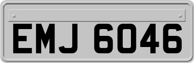 EMJ6046