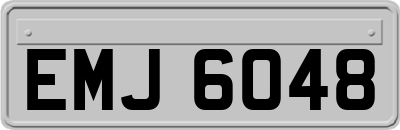 EMJ6048