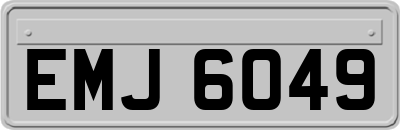 EMJ6049