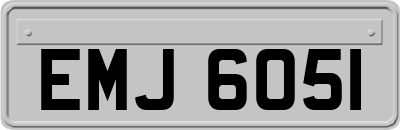EMJ6051