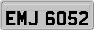 EMJ6052