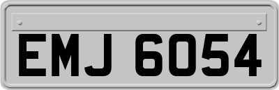 EMJ6054