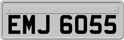 EMJ6055