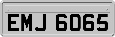 EMJ6065