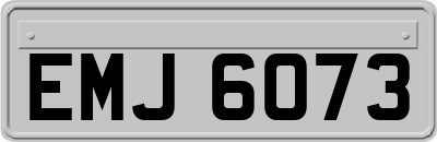 EMJ6073