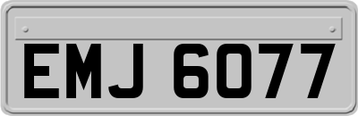 EMJ6077