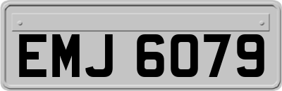 EMJ6079