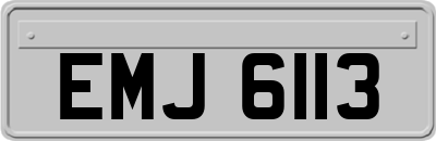 EMJ6113
