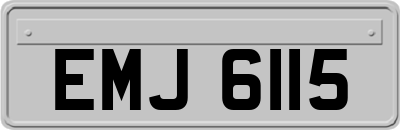 EMJ6115