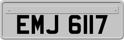EMJ6117