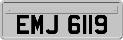 EMJ6119