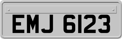 EMJ6123