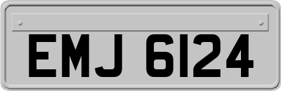 EMJ6124