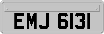 EMJ6131