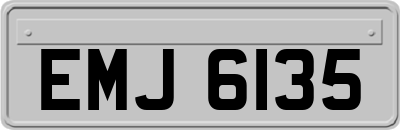 EMJ6135