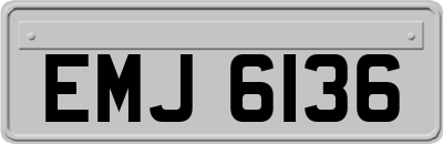 EMJ6136