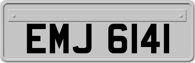 EMJ6141