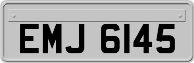 EMJ6145
