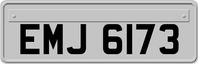 EMJ6173