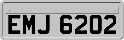 EMJ6202