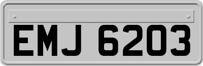 EMJ6203