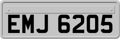 EMJ6205