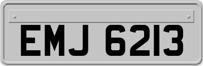 EMJ6213