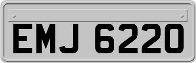 EMJ6220