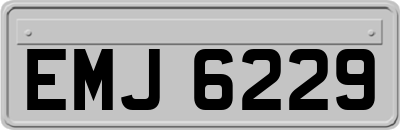 EMJ6229