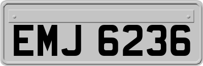 EMJ6236