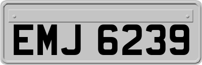 EMJ6239